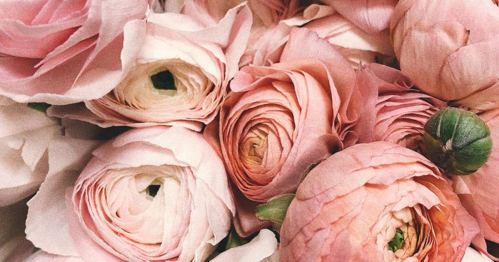Digital Marketing untuk Florist dan Bisnis Kreatif Jogja