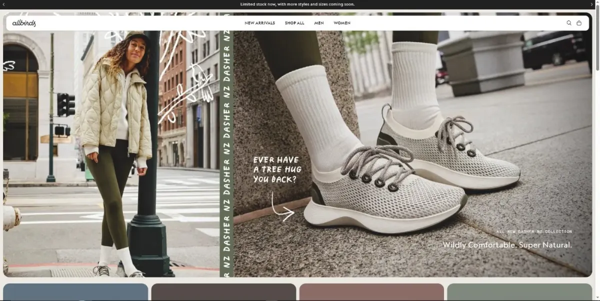 Allbirds: Sepatu Startup yang Tolak Amazon dan Raup $100 Juta